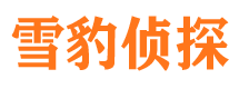 株洲外遇出轨调查取证